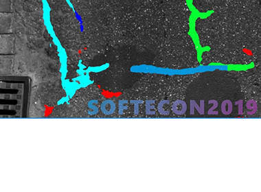 Softecon 2019